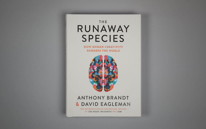 The Runaway Species by David Eagleman, Anthony Brandt gallery image 1
