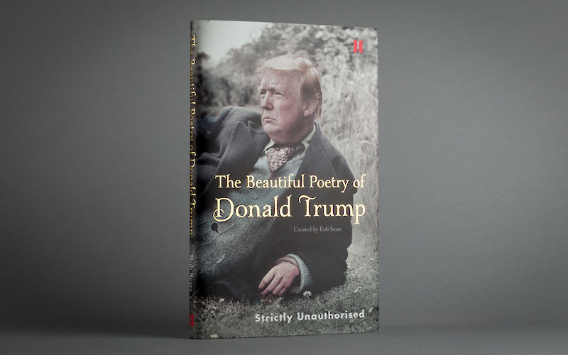The Beautiful Poetry of Donald Trump by Rob Sears gallery image 2