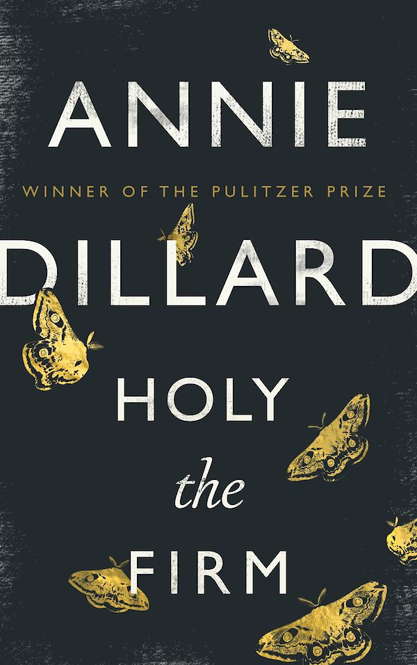 Holy the Firm by Annie Dillard (eBook ISBN 9781782117742) book cover
