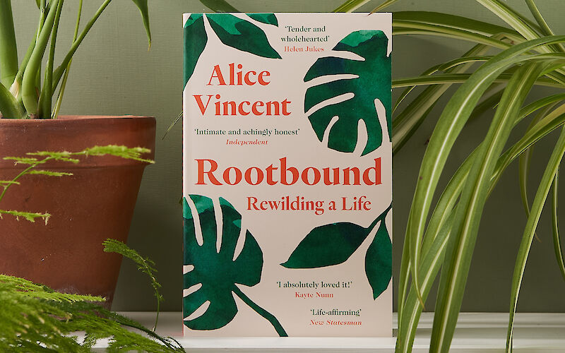 Rootbound by Alice Vincent gallery image 2