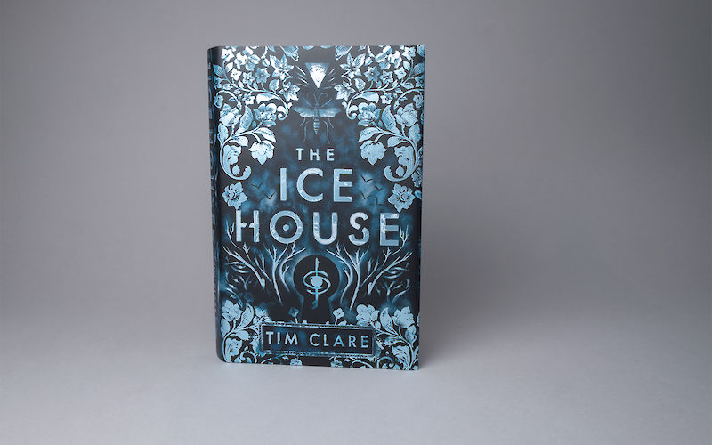 The Ice House by Tim Clare gallery image 2