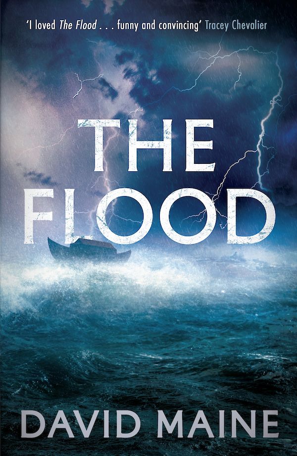 The Flood by David Maine (eBook ISBN 9781847676962) book cover