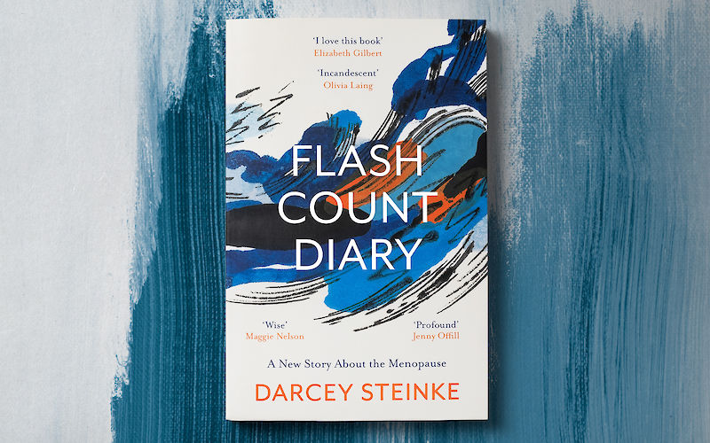 Flash Count Diary by Darcey Steinke gallery image 1