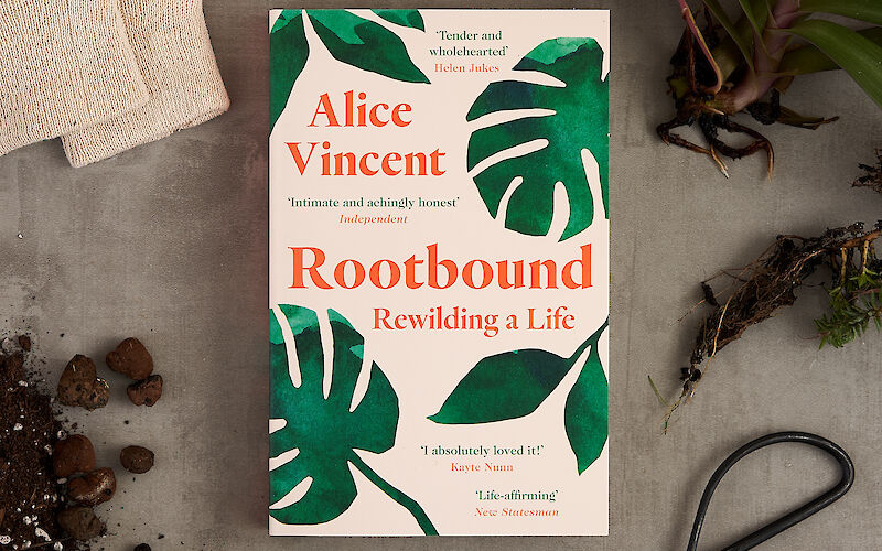 Rootbound by Alice Vincent gallery image 1