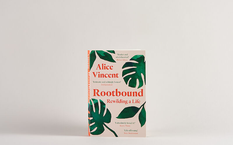 Rootbound by Alice Vincent gallery image 3