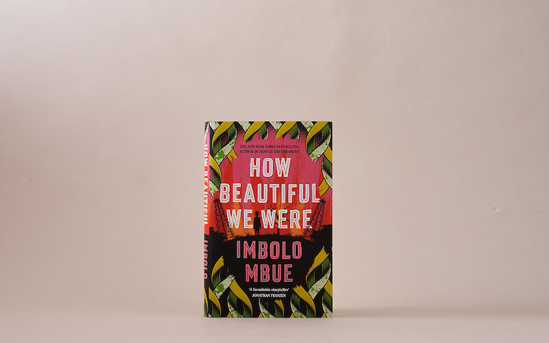 How Beautiful We Were by Imbolo Mbue gallery image 5