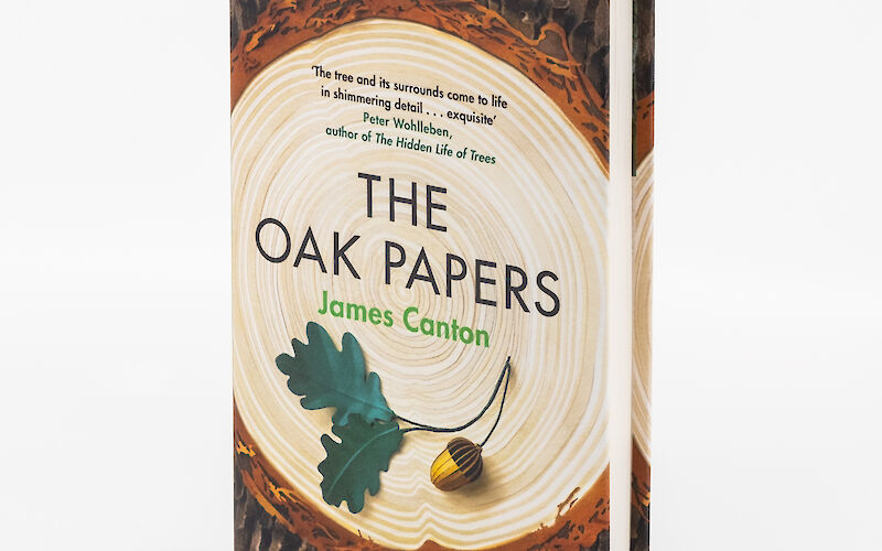 The Oak Papers by James Canton gallery image 1