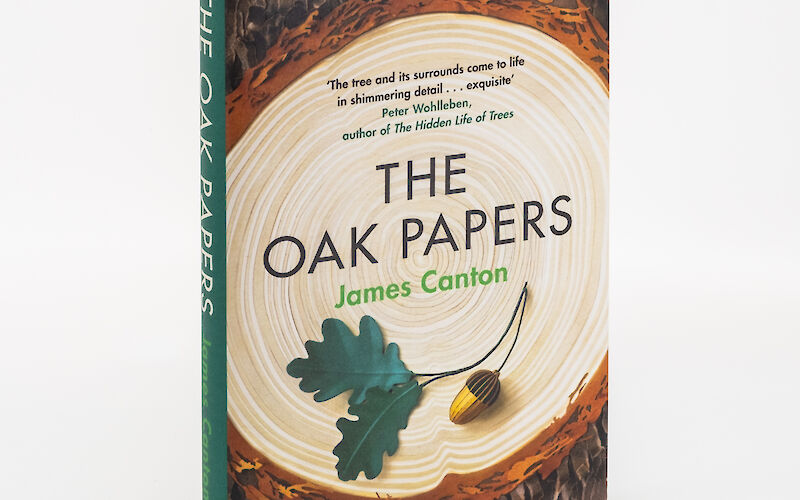 The Oak Papers by James Canton gallery image 8