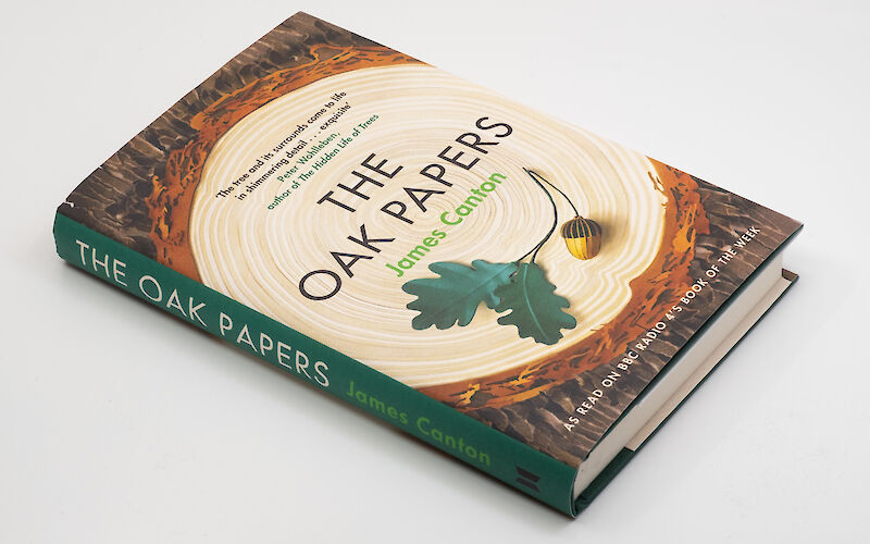 The Oak Papers by James Canton gallery image 2