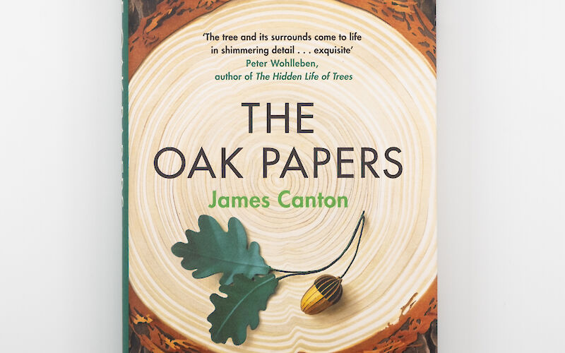 The Oak Papers by James Canton gallery image 6