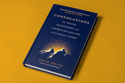 Maria Popova introduces Consolations by David Whyte