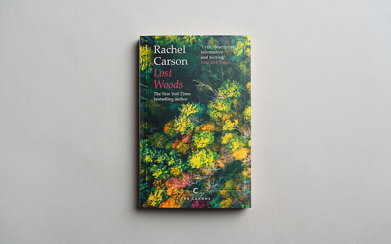 Lost Woods by Rachel Carson gallery image 1