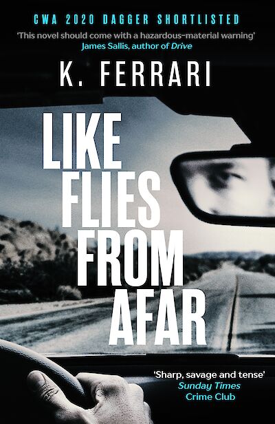Like Flies from Afar by K. Ferrari cover