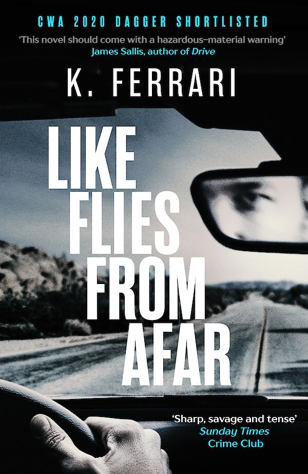 Like Flies from Afar by K. Ferrari (Paperback ISBN 9781786896995) book cover