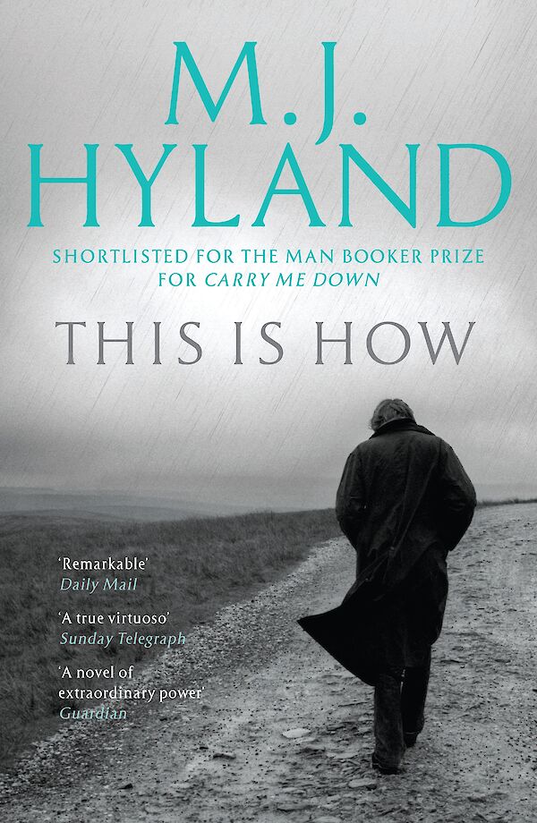 This Is How by M.J. Hyland (eBook ISBN 9781847677723) book cover