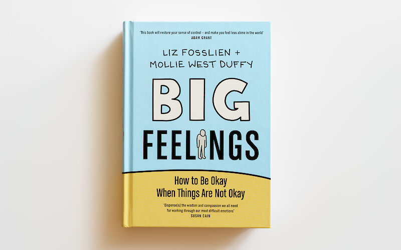 Big Feelings by Liz Fosslien, Mollie West Duffy gallery image 1