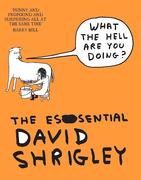 What The Hell Are You Doing?: The Essential David Shrigley by David Shrigley (Paperback ISBN 9781847678638) book cover