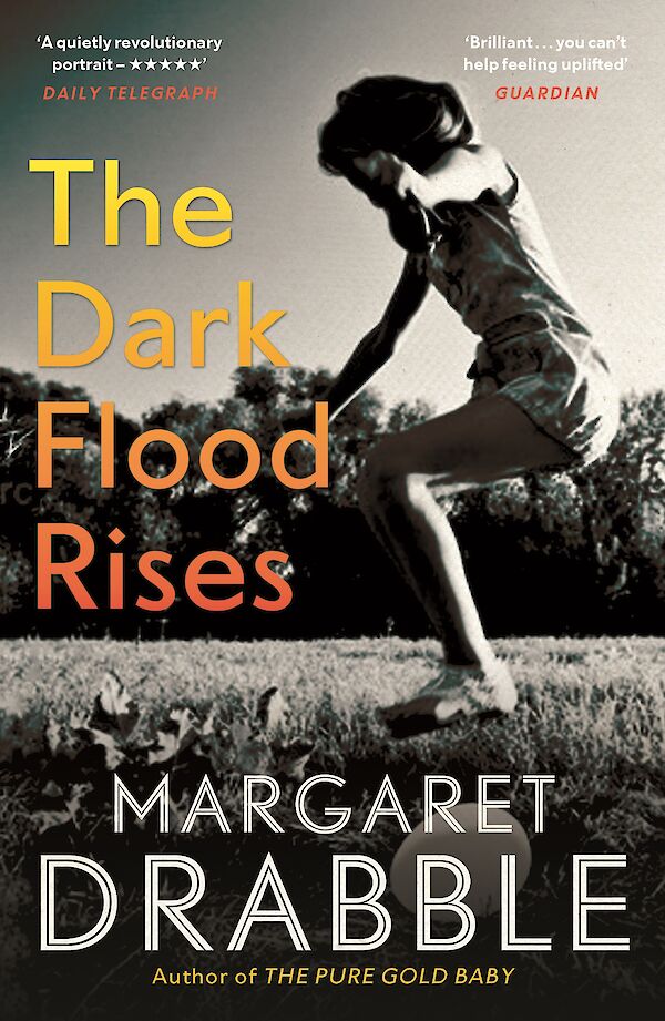 The Dark Flood Rises by Margaret Drabble (Paperback ISBN 9781782118336) book cover