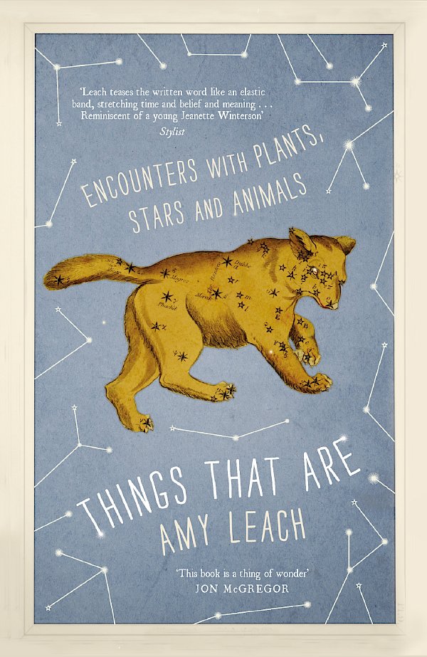 Things That Are by Amy Leach (Paperback ISBN 9781786893550) book cover