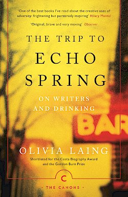 The Trip to Echo Spring by Olivia Laing cover