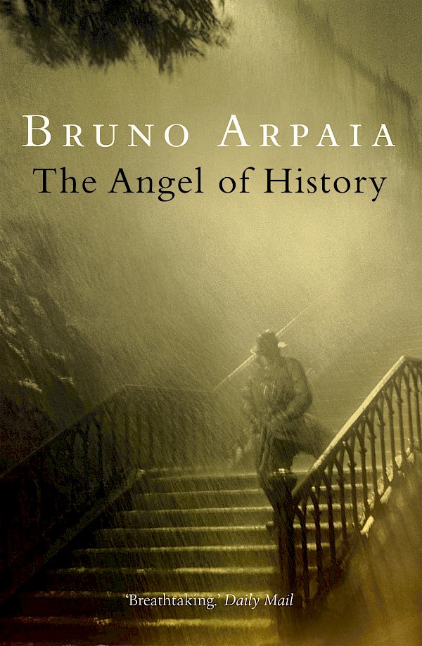 The Angel Of History by Bruno Arpaia (Paperback ISBN 9781841959832) book cover