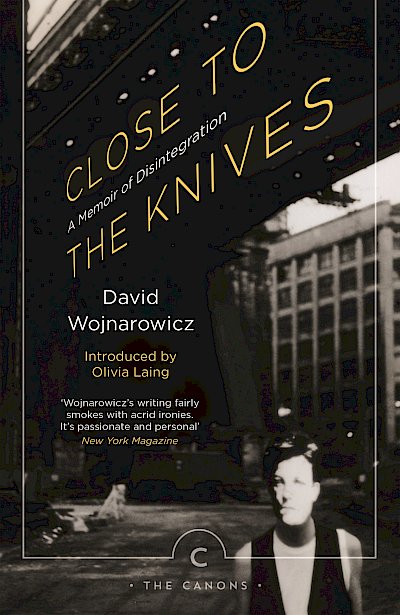 Close to the Knives by David Wojnarowicz cover