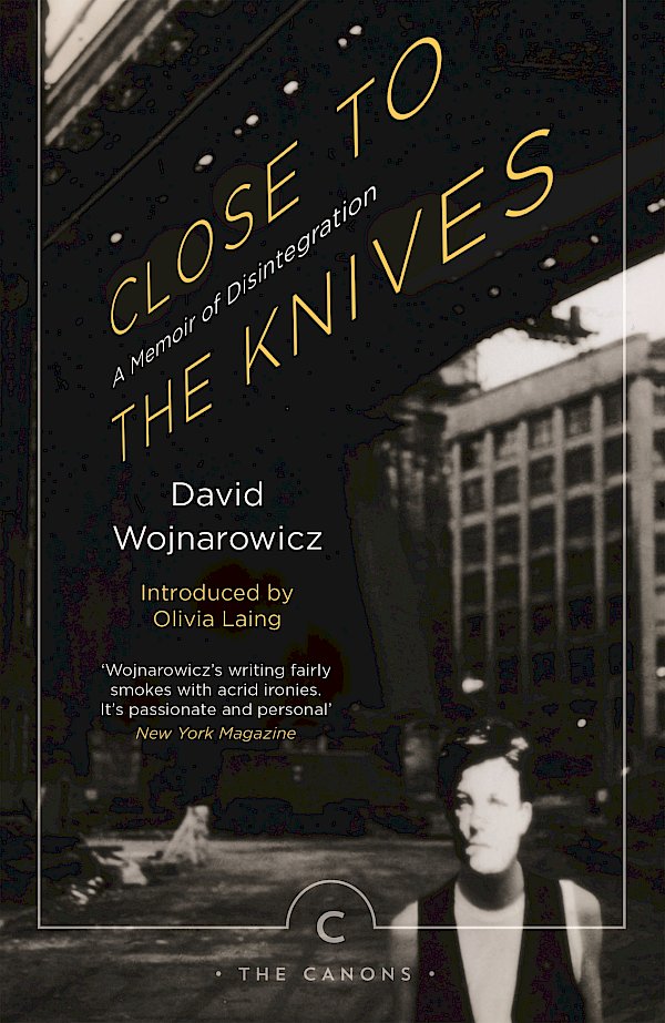 Close to the Knives by David Wojnarowicz (Paperback ISBN 9781786890276) book cover