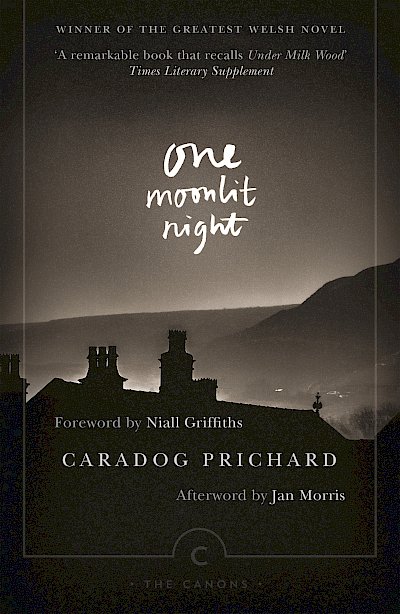 One Moonlit Night by Caradog Prichard cover
