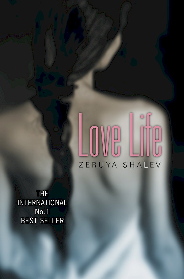 Love Life by Zeruya Shalev (Paperback ISBN 9781841952987) book cover