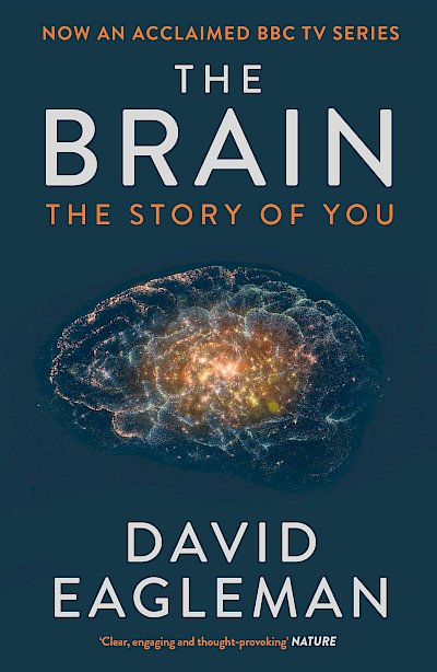 The Brain by David Eagleman cover