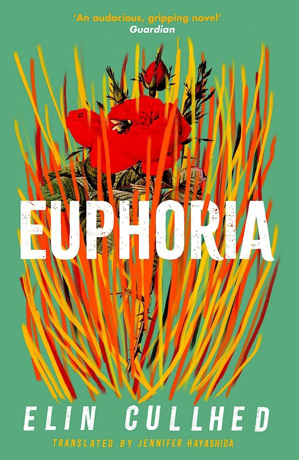 Euphoria by Elin Cullhed (Paperback ISBN 9781838855994) book cover