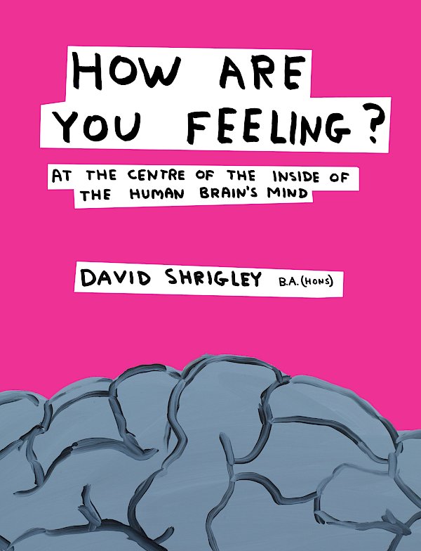 How Are You Feeling? by David Shrigley (Hardback ISBN 9780857867216) book cover