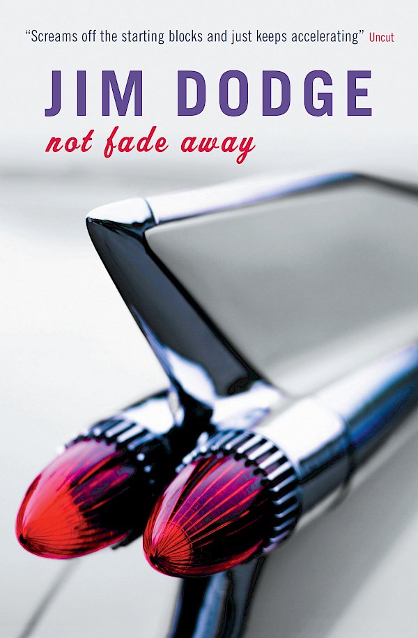 Not Fade Away by Jim Dodge (Paperback ISBN 9781841954868) book cover