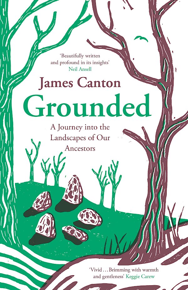 Grounded by James Canton (Paperback ISBN 9781838855895) book cover