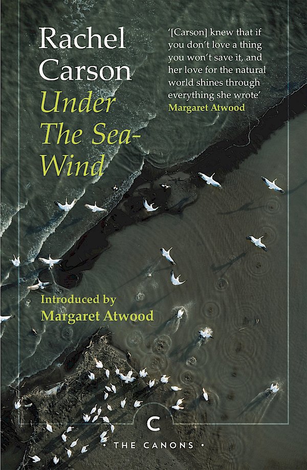 Under the Sea-Wind by Rachel Carson (Paperback ISBN 9781786899279) book cover