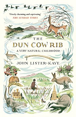 The Dun Cow Rib by John Lister-Kaye cover