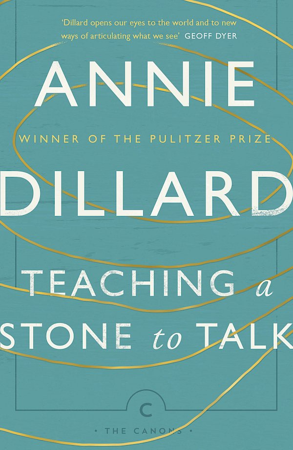 Teaching a Stone to Talk by Annie Dillard (Paperback ISBN 9781782118855) book cover