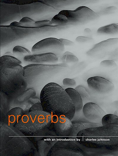 Proverbs by Charles Johnson cover