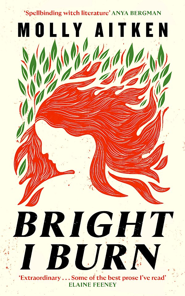 Bright I Burn by Molly Aitken (Hardback ISBN 9781786898388) book cover