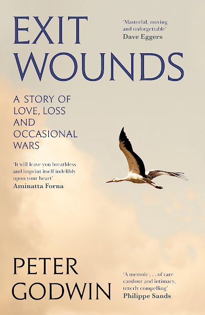 Exit Wounds by Peter Godwin cover