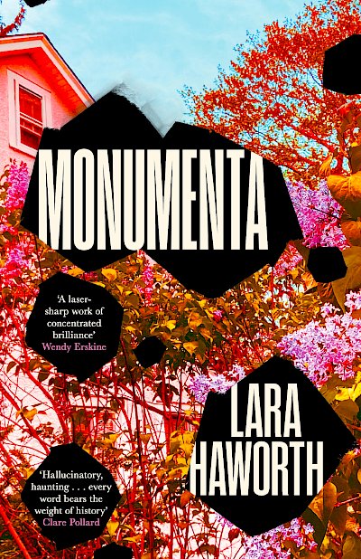 Monumenta by Lara Haworth cover