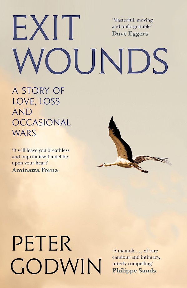 Exit Wounds by Peter Godwin (Hardback ISBN 9781805303336) book cover